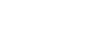 Delaware Statutory Trust