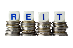 Real Estate Investment Trust (REIT)